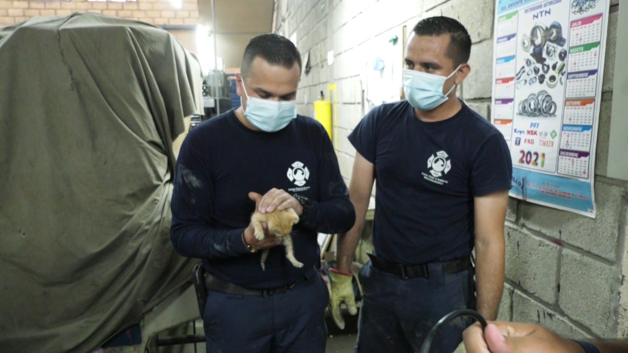Bomberos realizaron el rescate