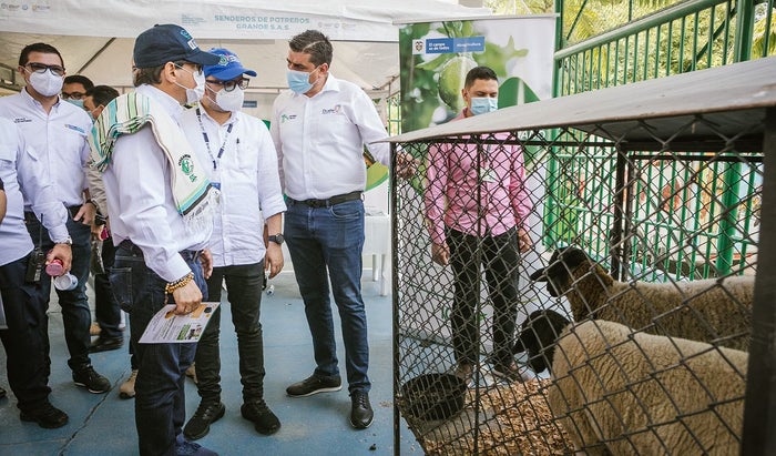 Feria Agropecuaria de Ocaña