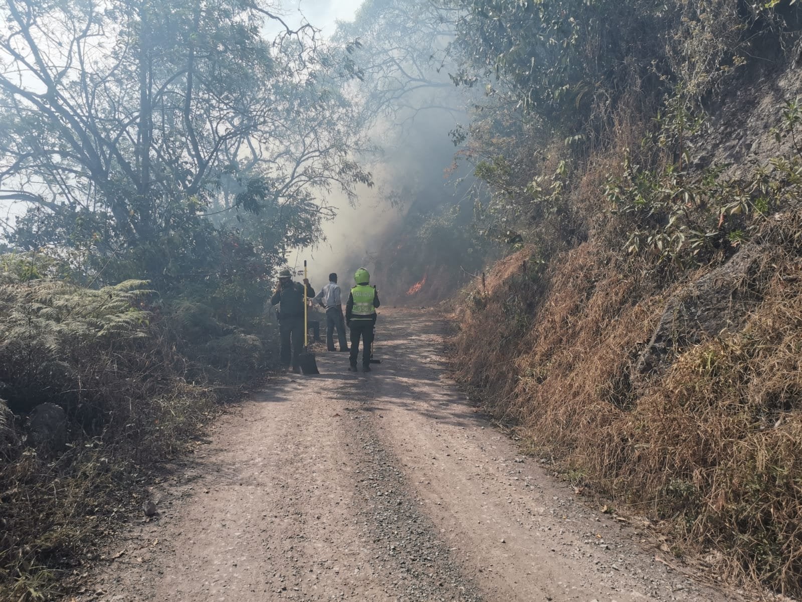 Autoridades intentan controlarlo