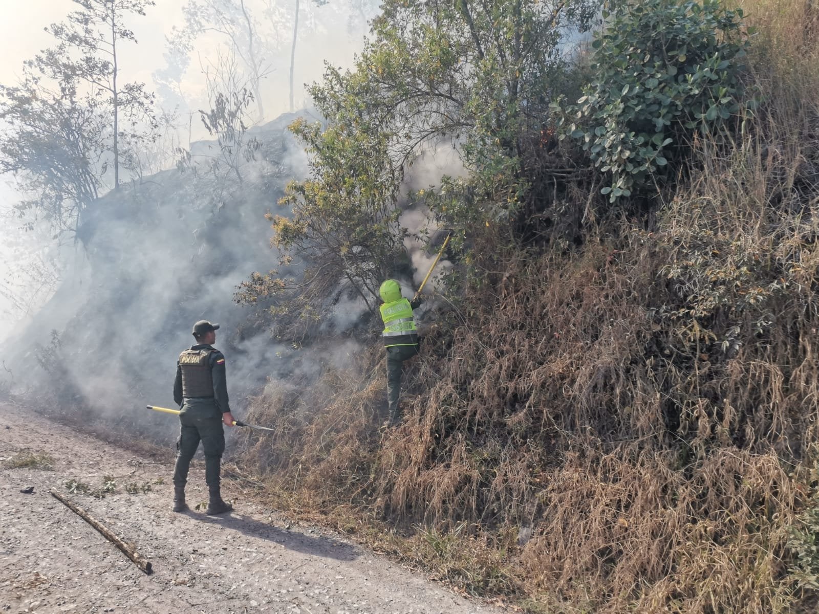 Voraz incendio forestal