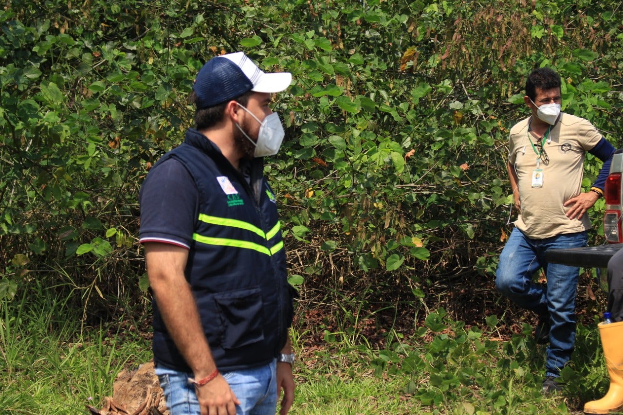 15 reptiles rescatados en Santander