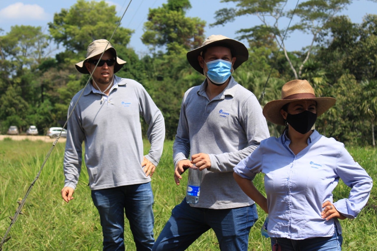 15 reptiles rescatados en Santander