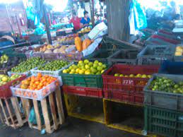 Cenabastos en Cúcuta