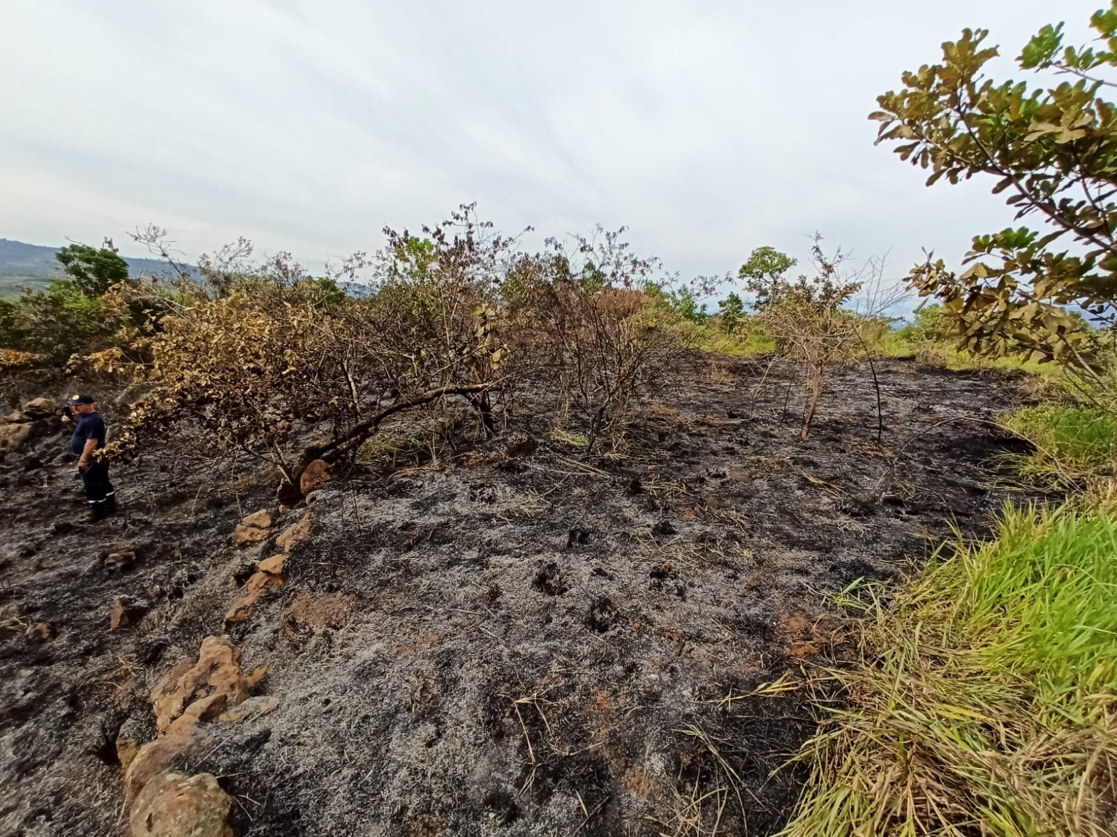 Incendio forestal en Barichara, Santander
