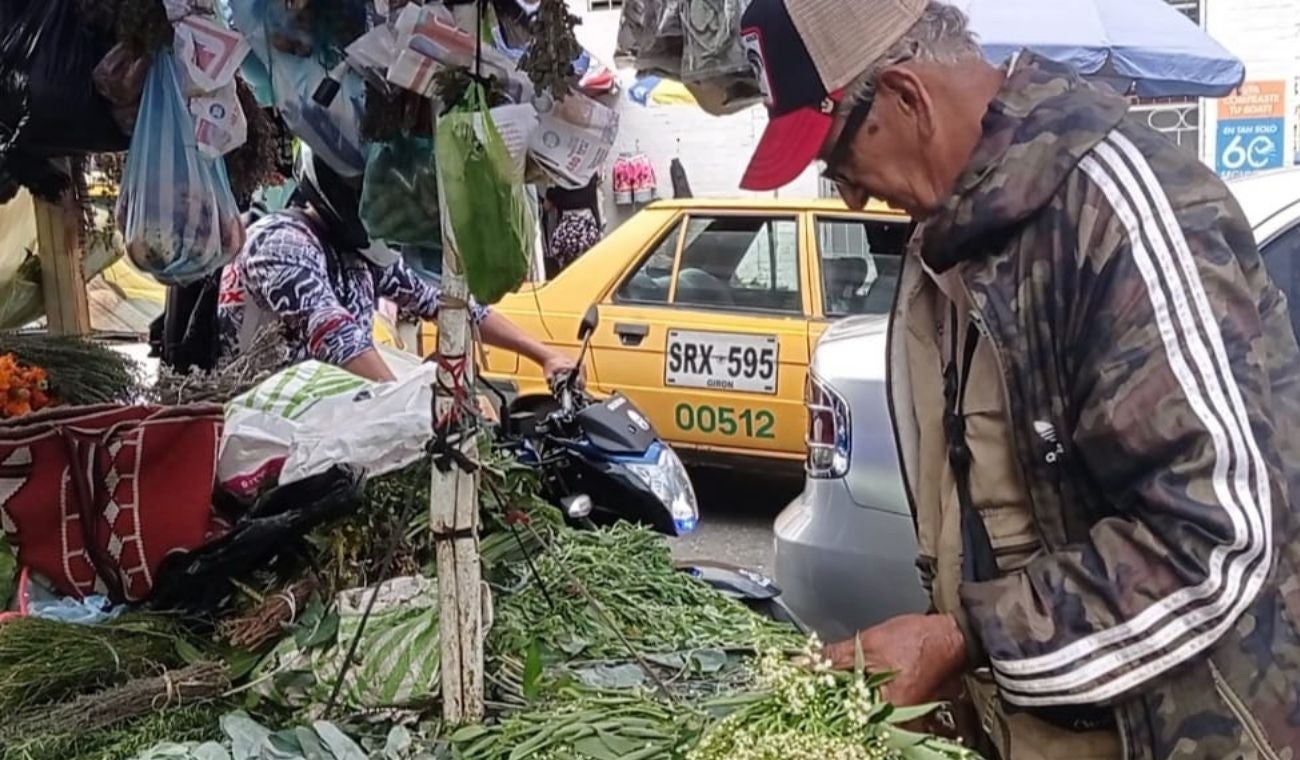 Vendedores bumangueses de hierbas en Semana Santa