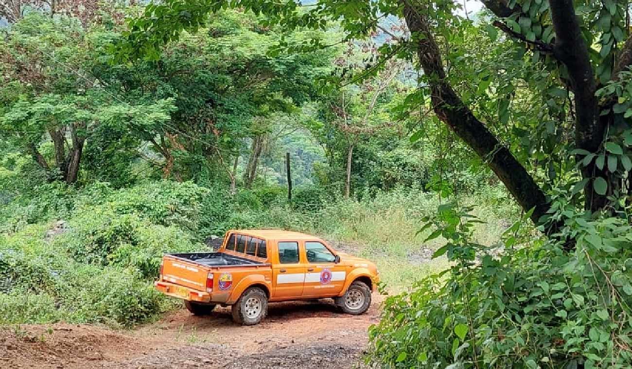 Organismos de socorro