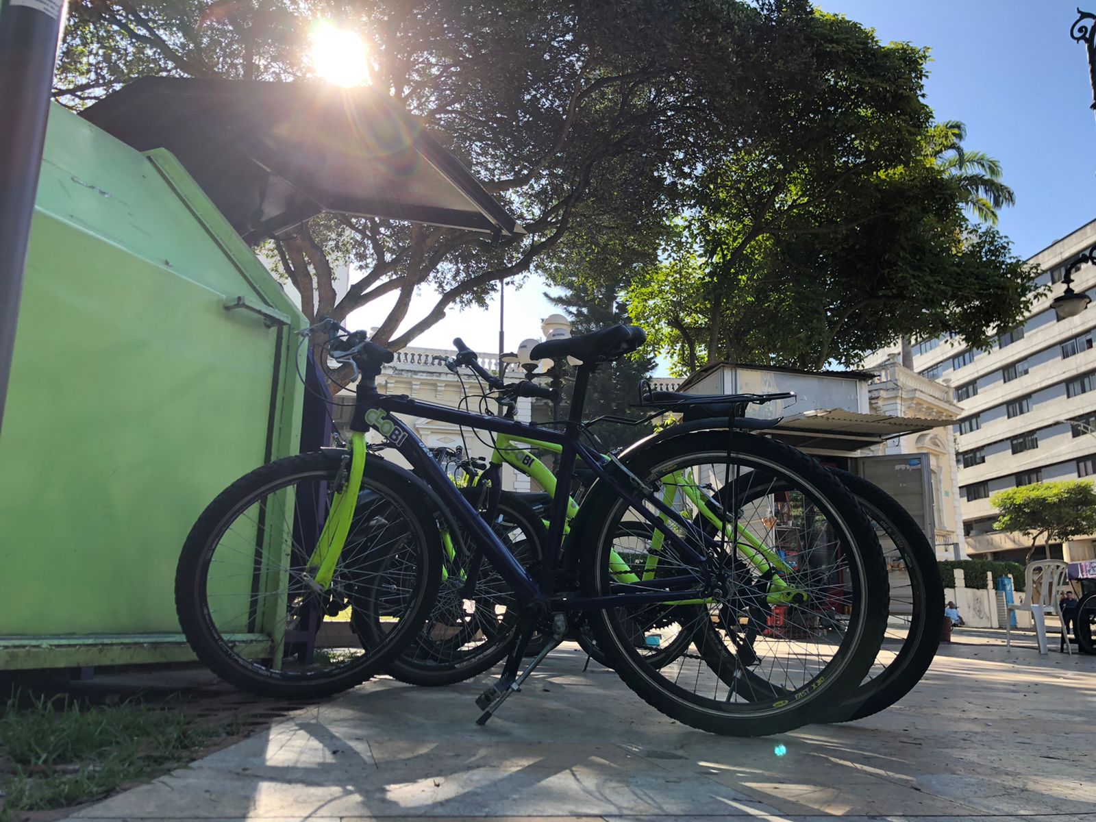 Día sin Carro Bucaramanga