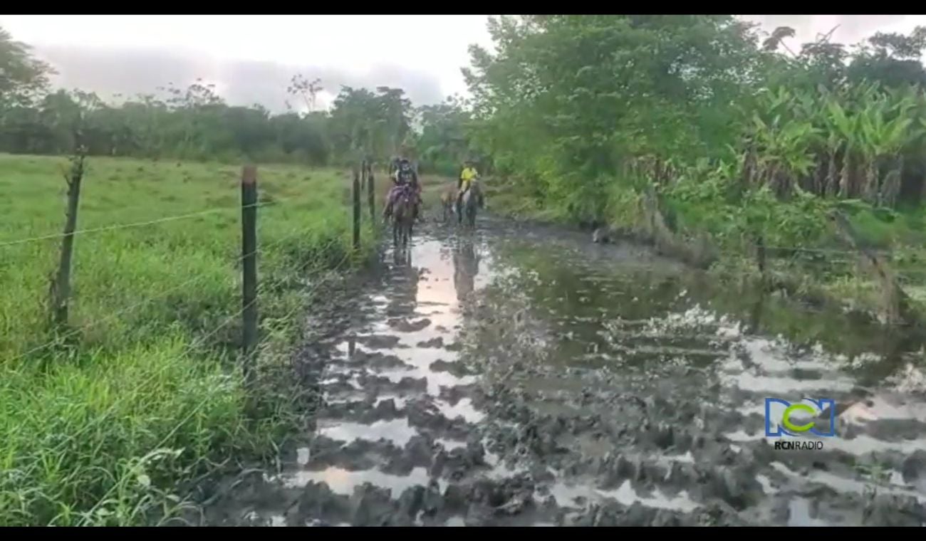 Transporte en Caballo menores en Puerto Wilches