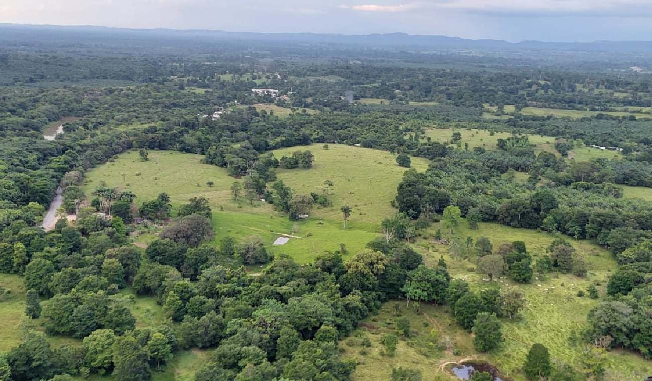 Cultivos ilícitos Cúcuta