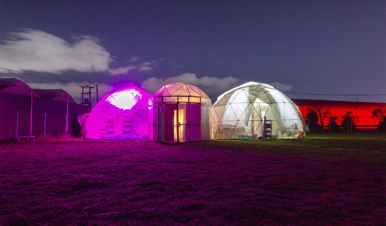 Tripulación Legio 1.