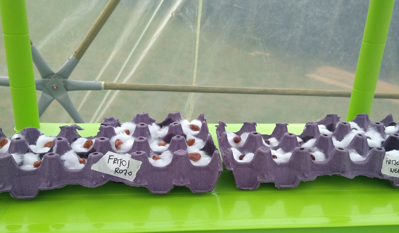 Tripulación Legio 1.