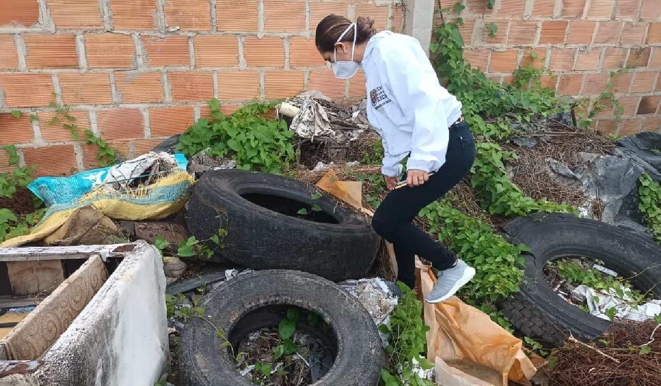 Revisión llantas dengue