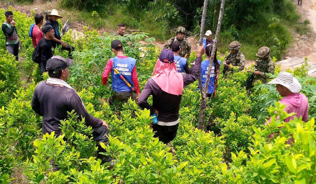 Confrontación Ejército y Cocaleros
