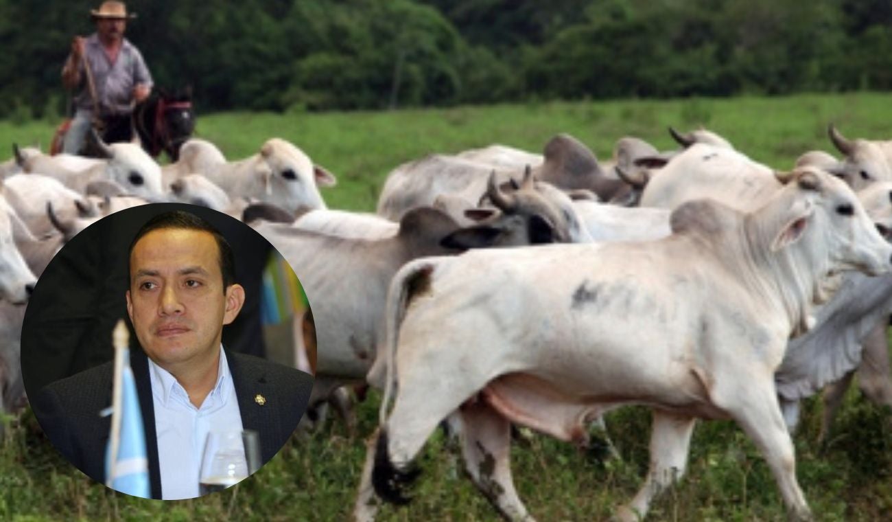 invasión predios ganaderos Magdalena Medio santandereano