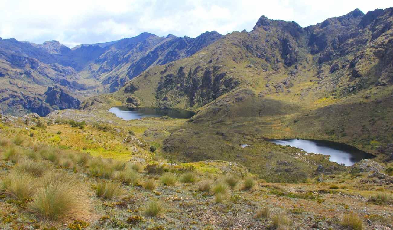 Páramo de Santurbán Norte de Santander