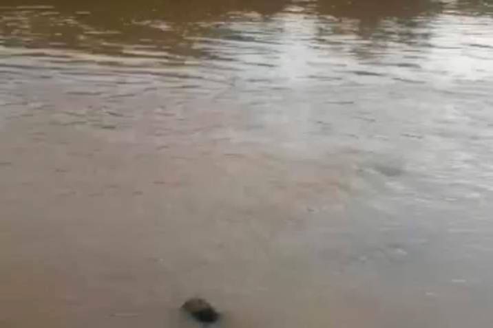 Denuncian contaminación con cianuro en el río Inanea, en el Sur de Bolívar