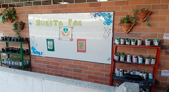 Huerta PAE Bucaramanga