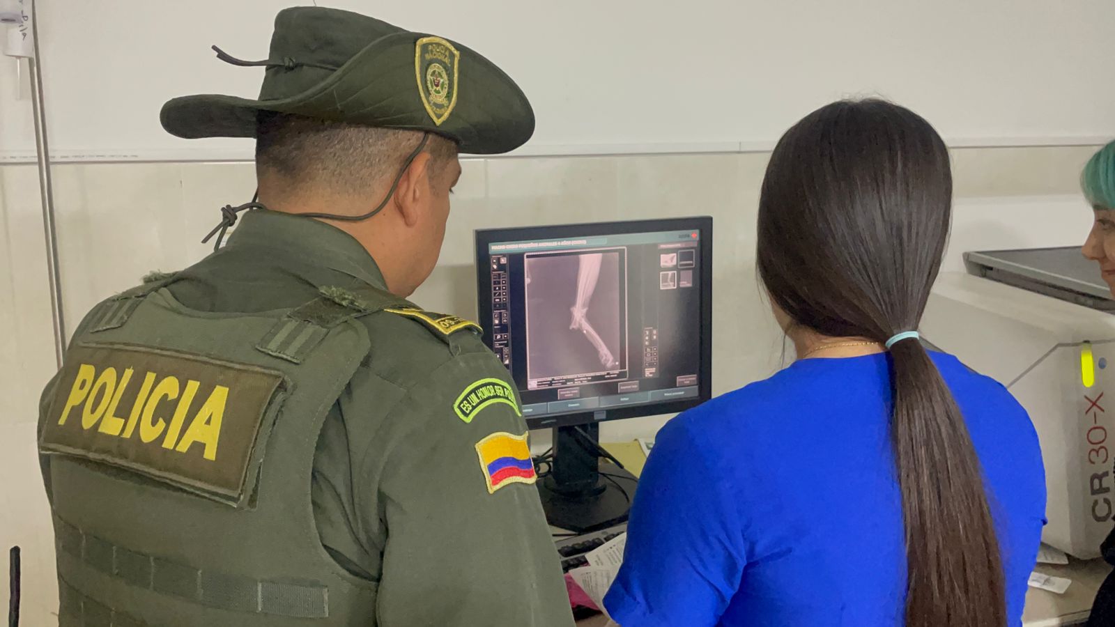 Maltrato Animal en Bucaramanga