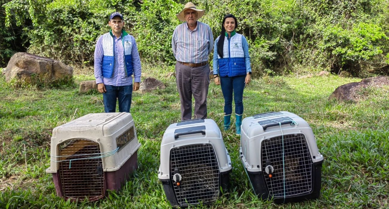 Rescate de animales en Santander