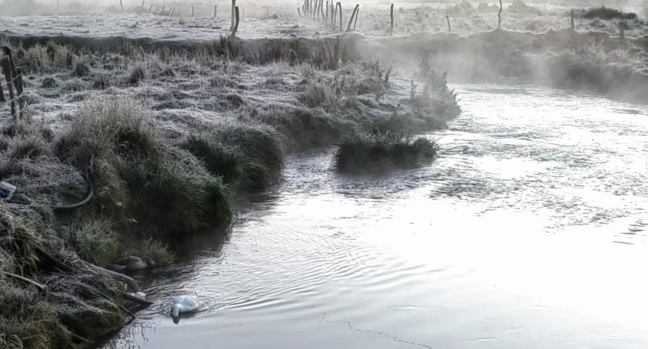 Fuertes heladas en Berlín, Santander