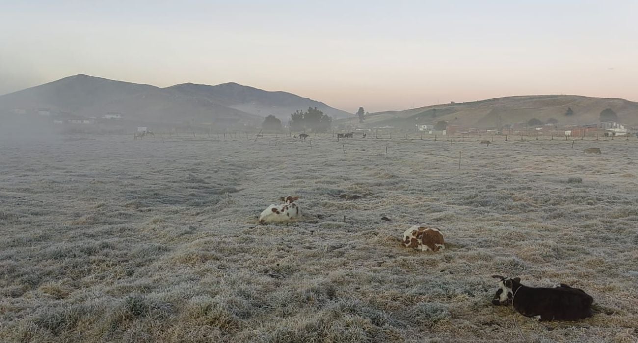 Fuertes heladas en Berlín, Santander