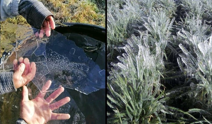Heladas en el corregimiento de Berlín, Tona, Santander.