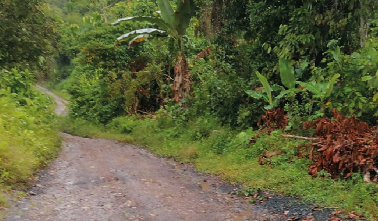 Vías terciarias San Vicente de Chucurí, Santander