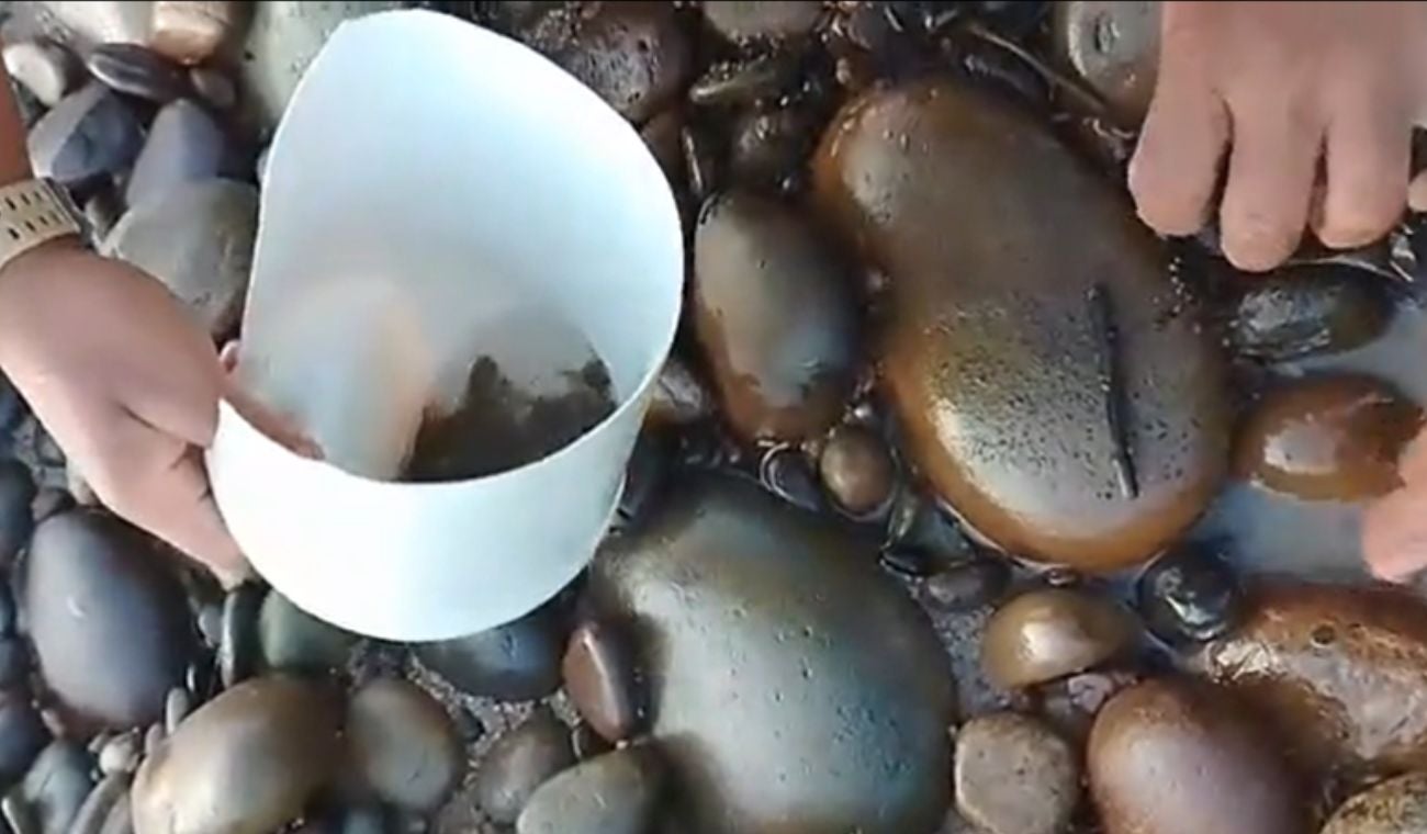 Muerte de peces río Sogamoso