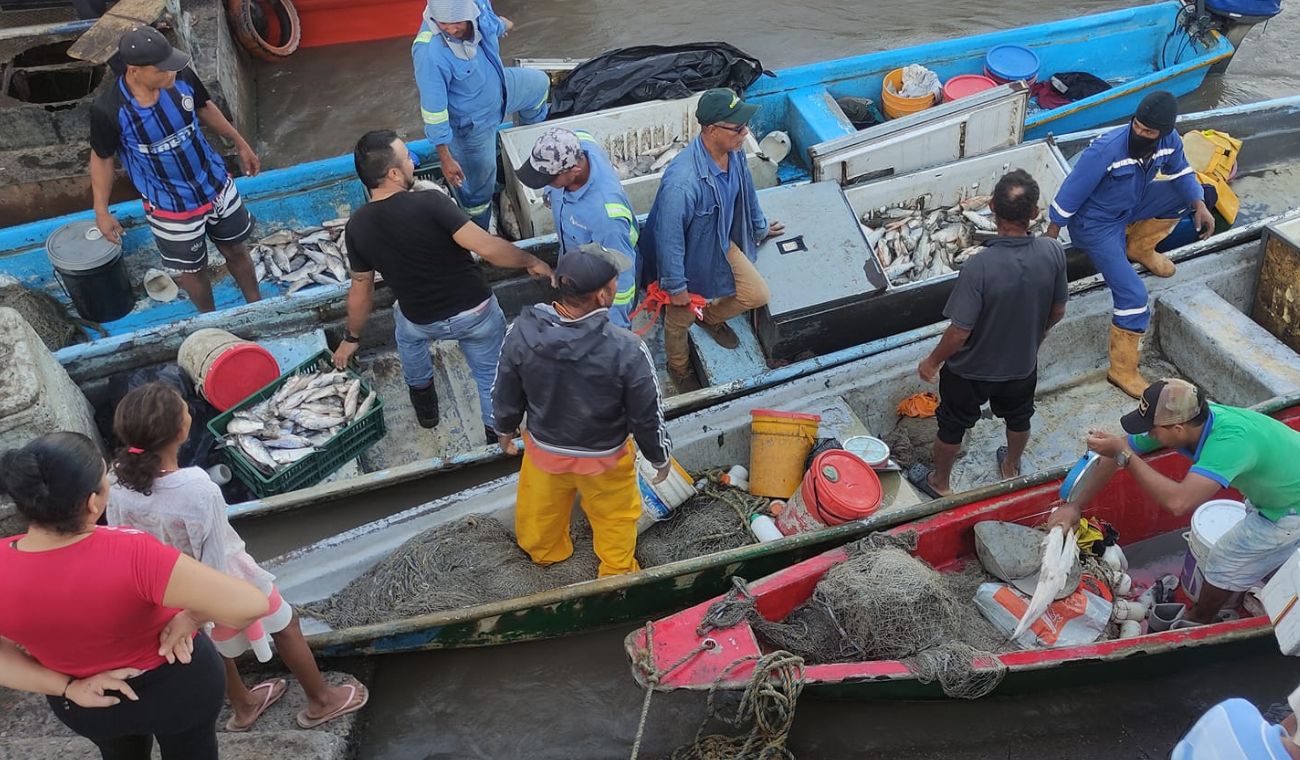 Subienda pescado Puerto Wilches, Santander