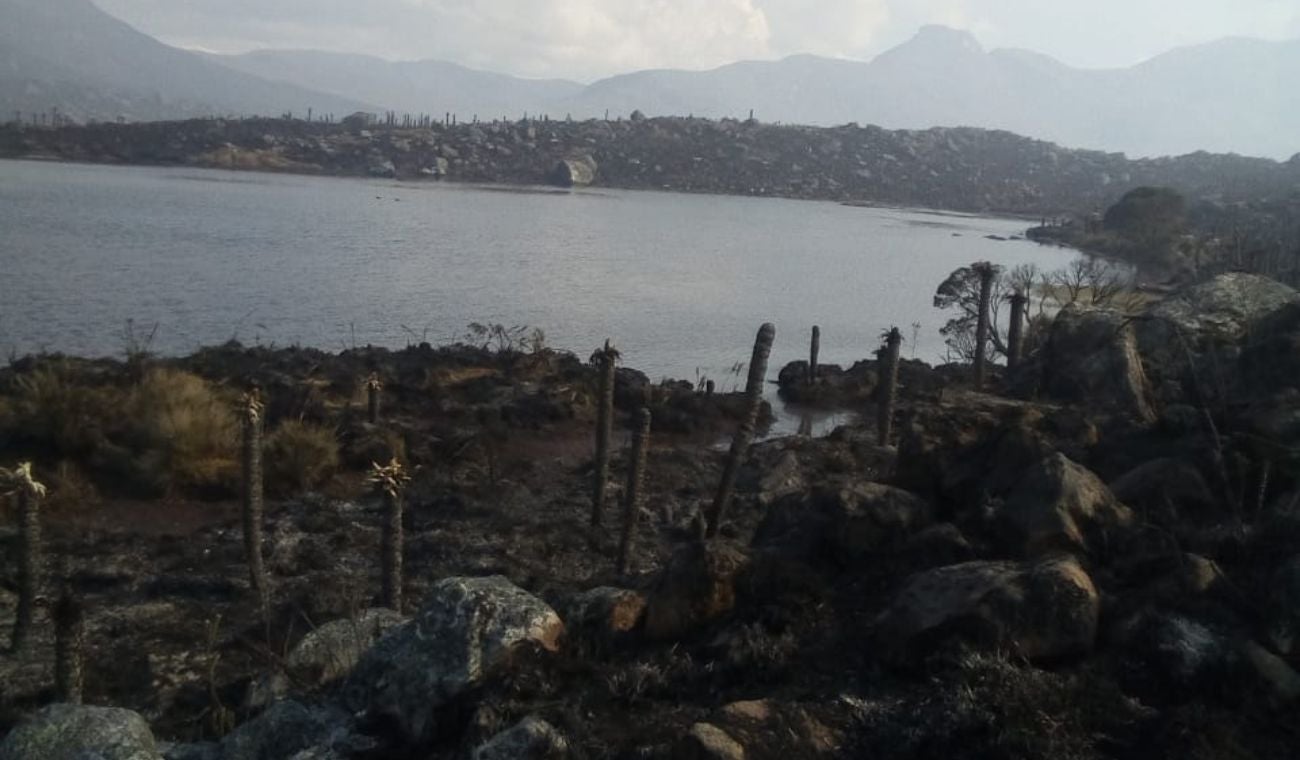 Incendio en el páramo de Almorzadero en Santander