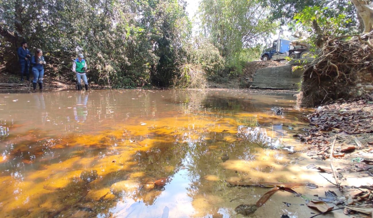 Análisis mortandad de peces Puerto Wilches