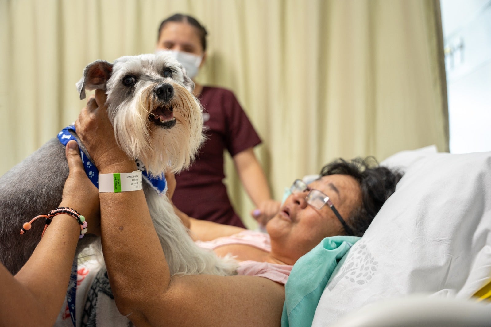 en Santander permite ingreso de mascotas