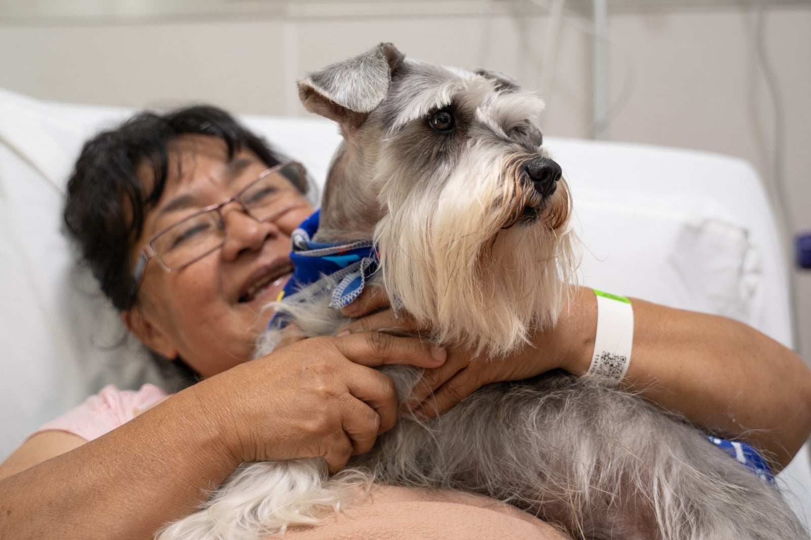 Hospital en Santander permite ingreso de mascotas