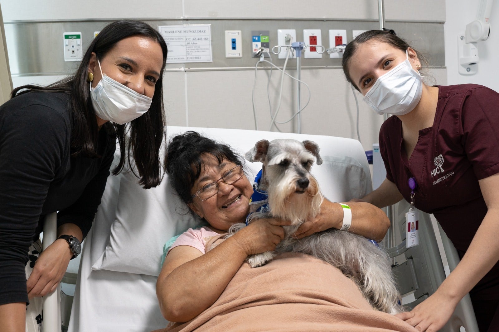 Hospital en Santander permite ingreso de mascotas