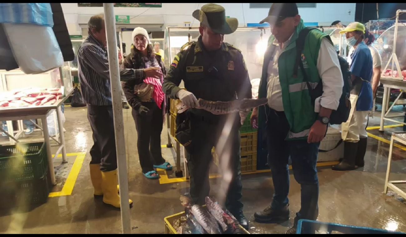 Incautan pescado en Bucaramanga