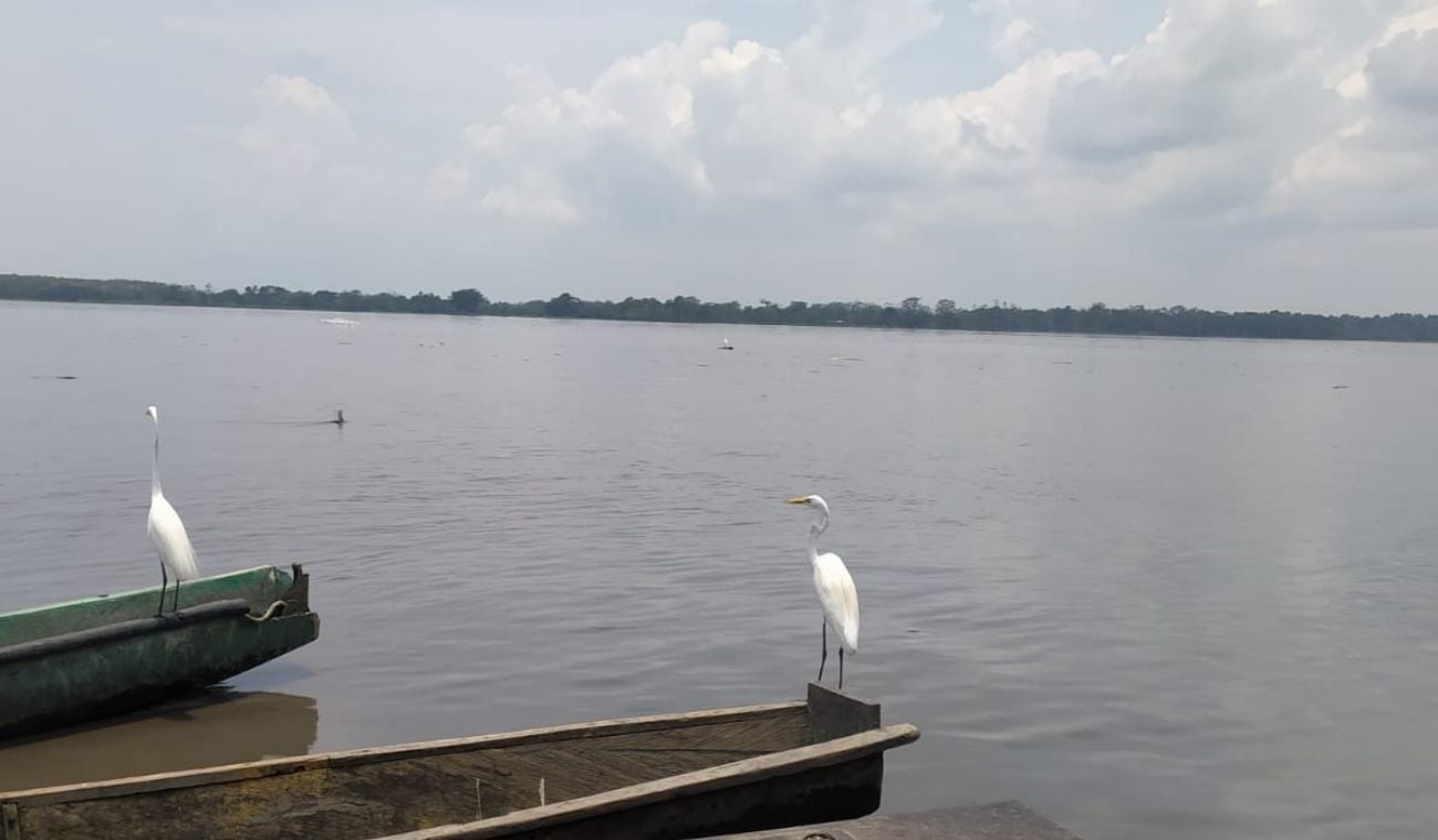 Los jóvenes habían partido desde el barrio Arenal de Barrancabermeja.