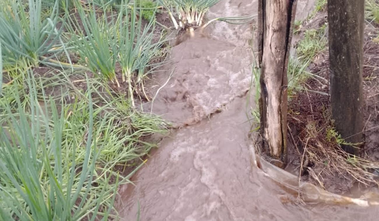 Inundaciones en Tona
