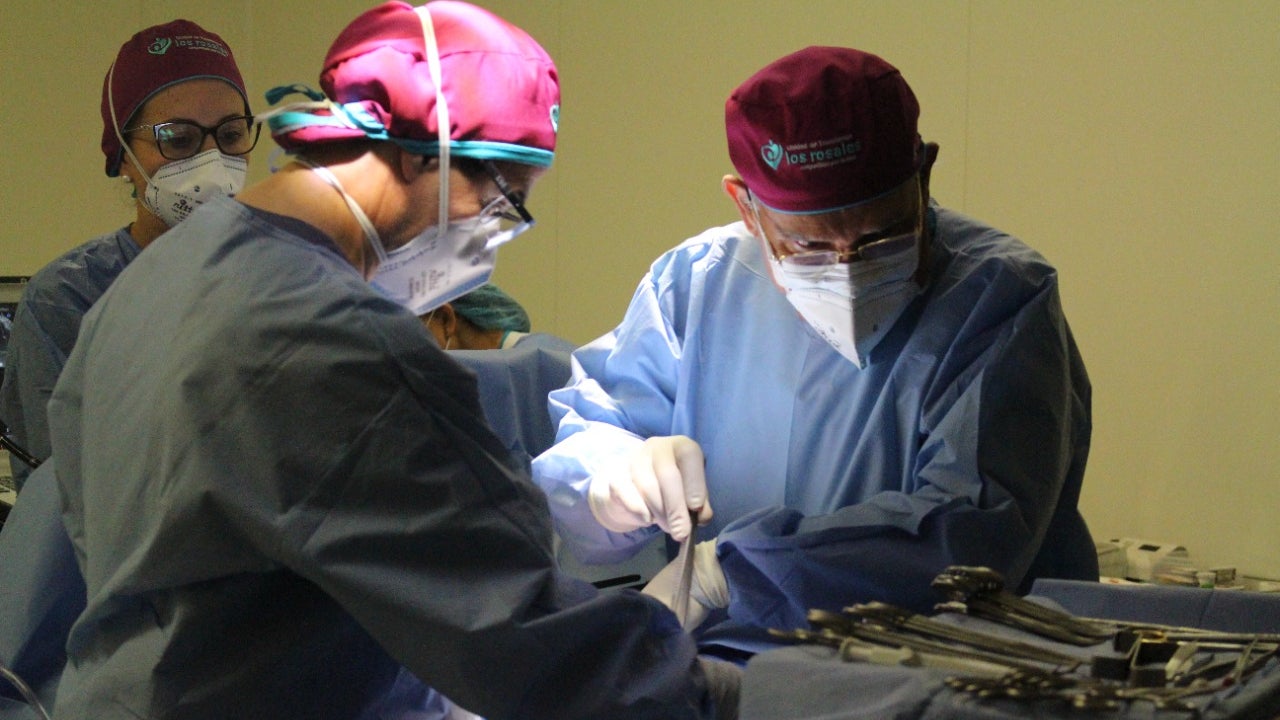 trasplante de órganos Risaralda