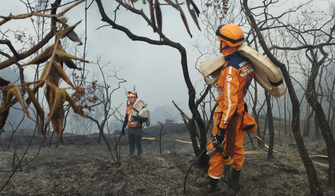 Incendio forestal en Piedecuesta