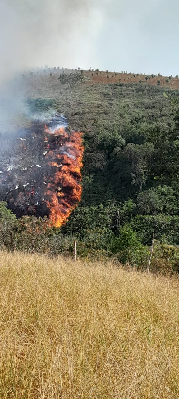 Incendio forestal San Gil