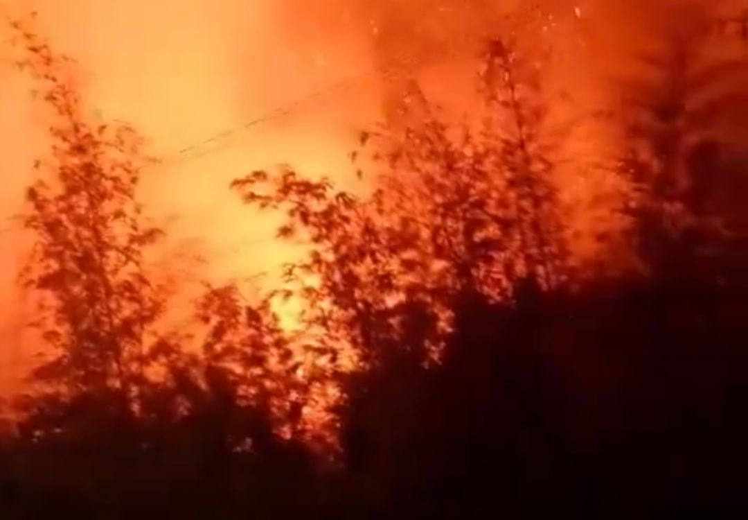 Grave incendio forestal amenazó varias viviendas de Floridablanca, en los barrios Panorama y Bellavista.