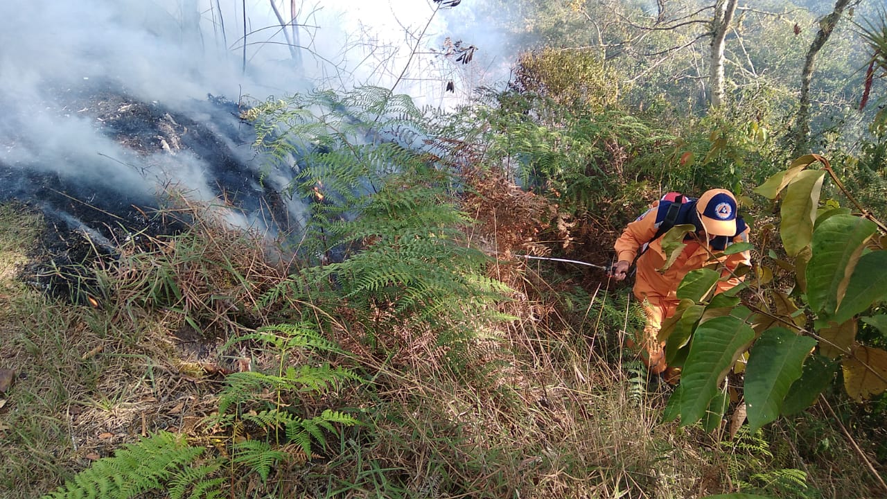 Incendio forestal en Toledo, Norte de Santander