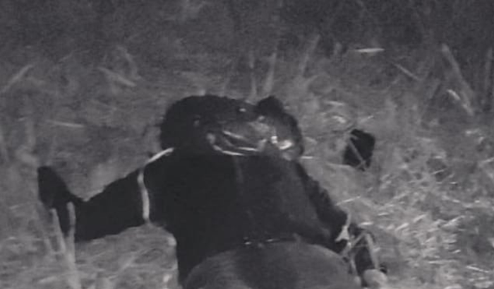 Cadáver hallado en inmediaciones de la plaza campesina