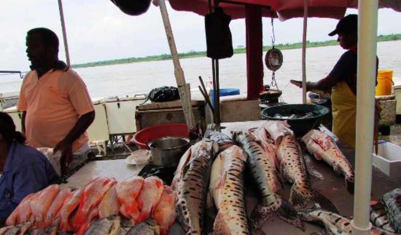 Venta de pescado en muelle de Barrancabermeja.