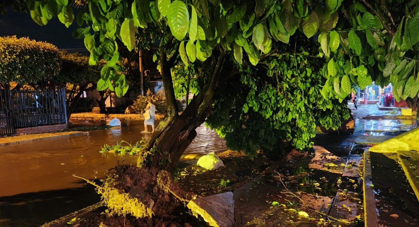 En sectores como Villa del Rosario, Villa Castro y el Norte de la ciudad, varios árboles, techos y paredes se derrumbaron. Además, algunos ciudadanos reportaron la caída de granizo.