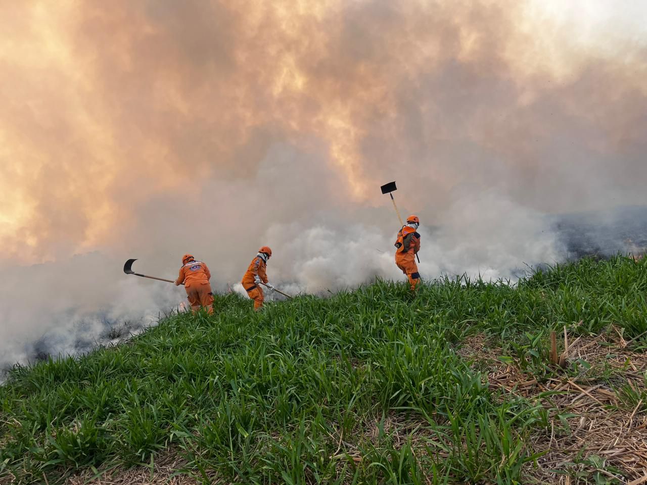Voraz incendio en El Llanito