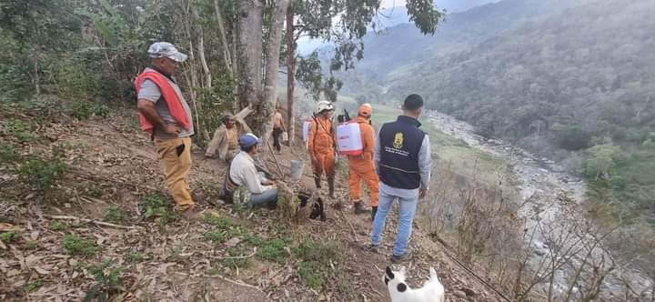 Incendio forestal en Toledo, Norte de Santander