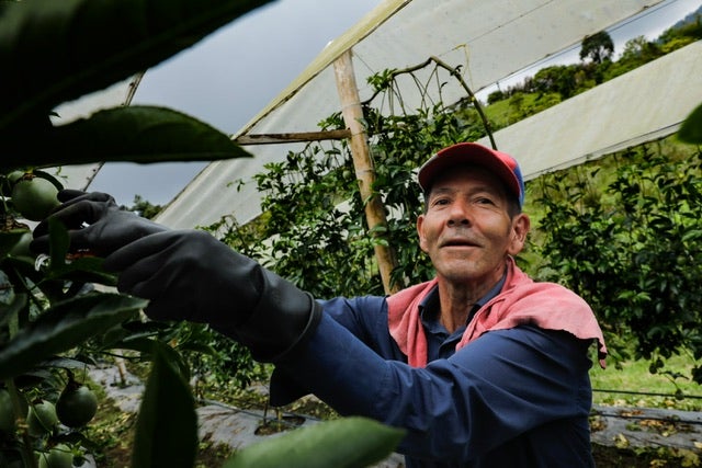 Imagen referencia de campesinos