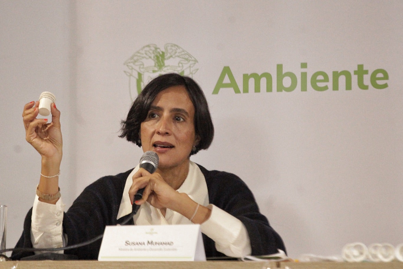 Susana Muhamad, Ministra de ambiente