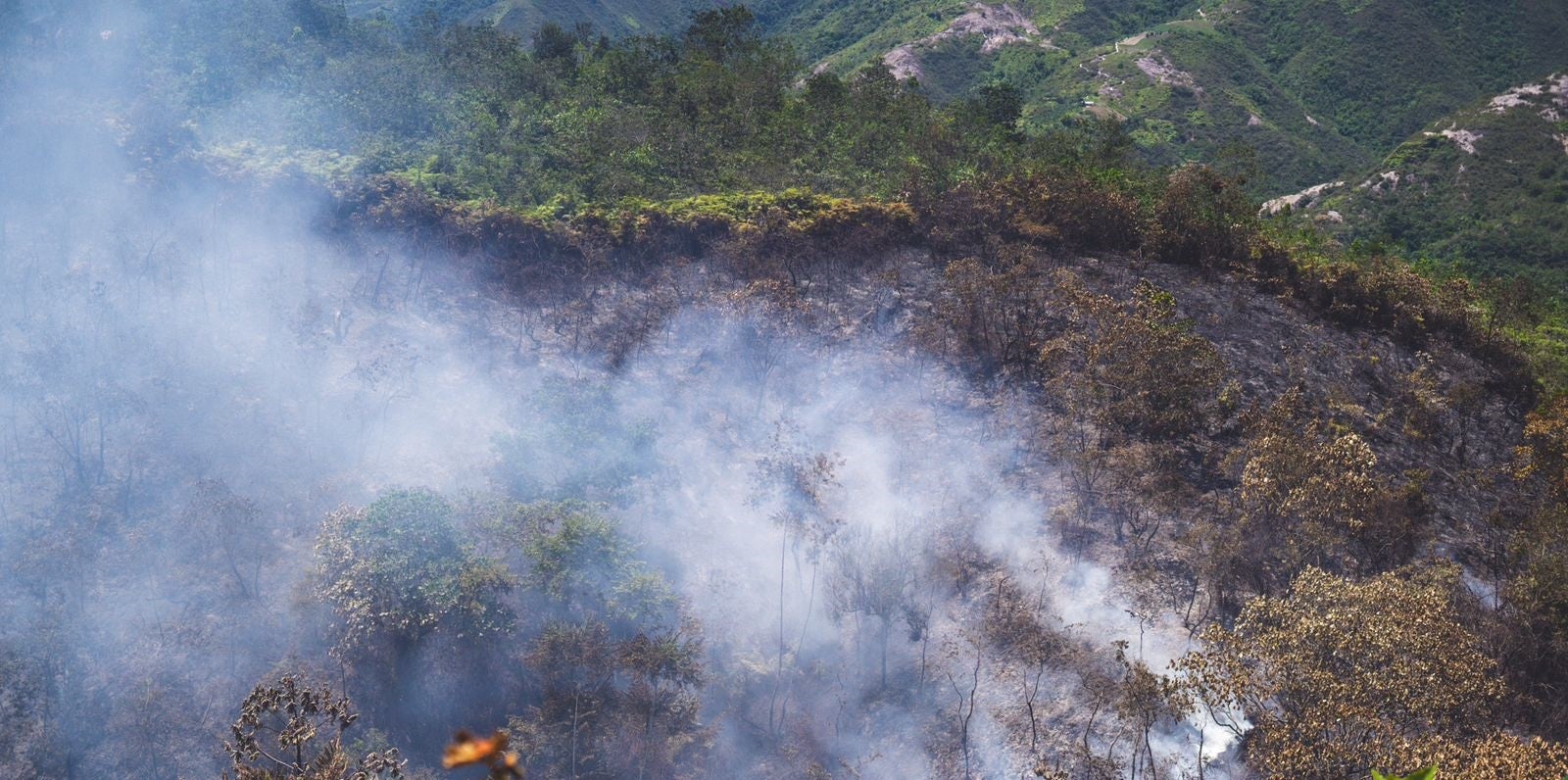 Incendio Forestal Ocaña